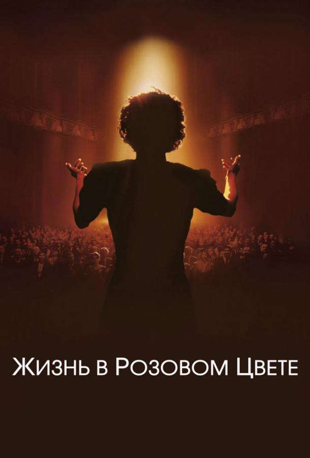 Фильм Жизнь в розовом цвете 2007 смотреть онлайн с актёрами Катрин Аллегре и Жераром Депардье